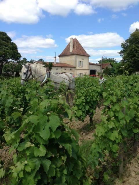 Chateau Vieux Mougnac Petit-Palais-et-Cornemps Kültér fotó